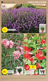 Fleurs Angebote im Prospekt "2+1 OFFERT SUR UNE SÉLECTION DE PRODUITS LAITIERS" von Intermarché Fleurs Angebote im Prospekt "2+1 OFFERT SUR UNE SÉLECTION DE PRODUITS LAITIERS" von Intermarché auf Seite 16