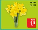 Aktuelles Narzissen Angebot bei Marktkauf in Nürnberg ab 1,11 €