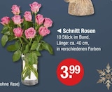 Schnitt Rosen im V-Markt Prospekt Schnitt Rosen von im aktuellen V-Markt Prospekt für 3,99 €