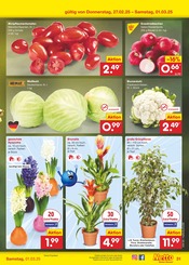 Aktueller Netto Marken-Discount Prospekt mit Zimmerpflanzen, "Aktuelle Angebote", Seite 55