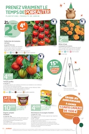 Tomate en promo dans le catalogue Jardiland à la page 10