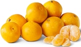 Penny Bocholt - Satsumas Angebot im Prospekt Satsumas bei Penny im Bocholt Prospekt für 1,49 €