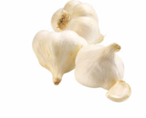 Bio Knoblauch im Angebot bei Netto Marken-Discount in Jena Bio Knoblauch Angebote von BioBio bei Netto Marken-Discount Jena für 1,29 €
