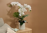 Orchidée Asia céramique dans le catalogue Maxi Bazar