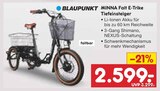 MINNA Falt E-Trike Tiefeinsteiger im Angebot bei Netto Marken-Discount in Freiburg MINNA Falt E-Trike Tiefeinsteiger Angebote von BLAUPUNKT bei Netto Marken-Discount Freiburg für 2.599,00 €