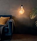 Pendelleuchte von Calex für 12,95 € bei Hornbach im Angebot Pendelleuchte von Calex im aktuellen Hornbach Prospekt