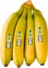 Bananen WWF im Angebot bei EDEKA in Buxtehude Bananen WWF Angebote von EDEKA Bio bei EDEKA Buxtehude für 1,49 €