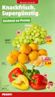 Paprika-Mix im Penny Prospekt "Wer günstig will, muss Penny." mit 36 Seiten (Bremen)