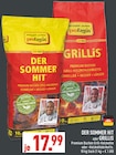 Aktuelle Holzkohle Angebote bei Marktkauf in Bielefeld Aktuelles DER SOMMER HIT oder GRILLIS Angebot bei Marktkauf in Bielefeld ab 17,99 €