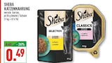 Katzennahrung bei Marktkauf im Delbrück Prospekt für 0,49 €