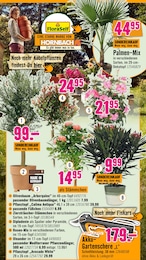 Blumentopf Angebot im aktuellen Hornbach Prospekt auf Seite 15