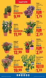 Laurier Angebote im Prospekt "XXL QUANTITÉ MAXI À PRIX MINI" von Lidl Laurier Angebote im Prospekt "XXL QUANTITÉ MAXI À PRIX MINI" von Lidl auf Seite 29