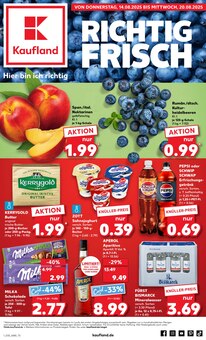 Erdbeeren im Kaufland Prospekt "KNÜLLER" mit 56 Seiten (Kiel)