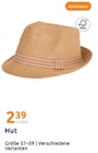 Hut im Angebot bei Action in Viersen Hut Angebote bei Action Viersen für 2,39 €