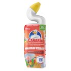 Gel nettoyant WC - CANARD en promo chez Carrefour Béziers à 3,49 €