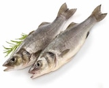 E center Landau - Wolfsbarsch (Loup de Mer) Angebot im Prospekt Wolfsbarsch (Loup de Mer) bei E center im Landau Prospekt für 1,99 €