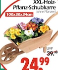 Aktuelles XXL-Holz-Pflanz-Schubkarre Angebot bei Wreesmann in Bremerhaven ab 24,99 €