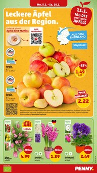 Tulpen im Penny Prospekt "Wer günstig will, muss Penny." mit 42 Seiten (Münster)