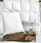 Aktuelle Bettdecke Angebote bei Ostermann in Wuppertal Aktuelles Marken Kopfkissen Angebot bei Ostermann in Wuppertal ab 69,90 €