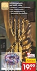 LED Lichterkette mit 1000 LEDs von DEKOR für 19,99 € bei Netto Marken-Discount im Angebot LED Lichterkette mit 1000 LEDs von DEKOR im aktuellen Netto Marken-Discount Prospekt
