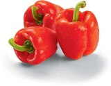 Aktuelle Paprika Angebote bei Netto Marken-Discount in Cottbus Aktuelles Paprika rot Angebot bei Netto Marken-Discount in Cottbus ab 1,49 €