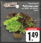 EDEKA Hamminkeln - Multicolorsalat Angebot im Prospekt Multicolorsalat bei EDEKA im Hamminkeln Prospekt für 1,49 €