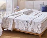 Aktuelle Bettdecke Angebote bei XXXLutz Möbelhäuser in Gelsenkirchen Aktuelles Schlafzimmer Angebot bei XXXLutz Möbelhäuser in Gelsenkirchen ab 69,99 €