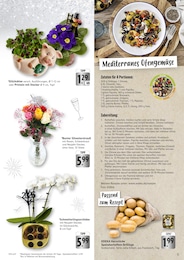 Pflanzen Angebot im aktuellen EDEKA Prospekt auf Seite 5