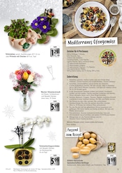 Aktueller EDEKA Prospekt mit Zimmerpflanzen, "Aktuelle Angebote", Seite 5