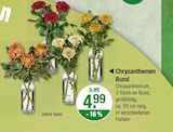 Chrysanthemen Bund von  im aktuellen V-Markt Prospekt für 4,99 €