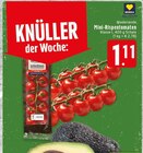 Aktuelles Mini-Rispentomaten Angebot bei EDEKA in Krefeld ab 1,11 €