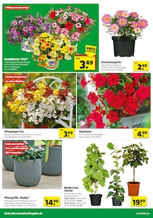Hagebaumarkt Wörth Prospekt der aktuellen Woche, gültig von 26.04.2025 bis 03.05.2025 Aktueller Hagebaumarkt Wörth Prospekt "Raus in den Garten? SO günstig geht das!" mit 16 Seiten