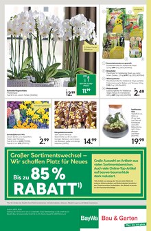 Zimmerpflanzen im BayWa Bau- und Gartenmärkte Prospekt "Hier bin ich gern" mit 20 Seiten (Nürnberg)