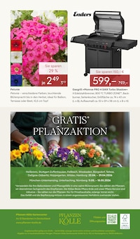 Gasgrill im Pflanzen Kölle Prospekt "BLÜTENZAUBER FÜR ZUHAUSE" mit 14 Seiten (Stuttgart)