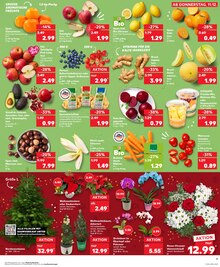 Äpfel im aktuellen Kaufland Prospekt (Bremerhaven) Äpfel im Kaufland Prospekt "Aktuelle Angebote" mit 37 Seiten (Bremerhaven)