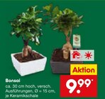 Bonsai Angebote bei Netto Marken-Discount Gronau für 9,99 €