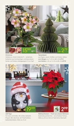 Weihnachtsschmuck im Pflanzen Kölle Prospekt Weihnachtsschmuck im Pflanzen Kölle Prospekt "WINTERZAUBER ERLEBEN" auf Seite 5