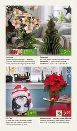 Weihnachtsbeleuchtung Angebote im Prospekt "WINTERZAUBER ERLEBEN" von Pflanzen Kölle auf Seite 5