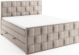 Boxspringbett Angebote bei ROLLER Pinneberg für 899,99 €