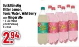 Bitter Lemon im Trinkgut Prospekt Bitter Lemon von Gut&Günstig im aktuellen Trinkgut Prospekt für 2,94 €