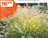 Jardiland - Graminée : offre du catalogue Promo Graminée à 16,95 € dans le catalogue Jardiland "Mon jardin d'été"