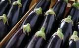 Aubergine à Netto dans Beaucroissant