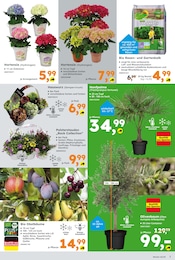 Gartenkalk Angebot im aktuellen Globus-Baumarkt Prospekt auf Seite 7