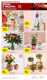 Offre Plante D'intérieur dans le catalogue Carrefour Market du moment à la page 18