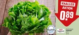 Aktuelle Salat Angebote bei REWE in Nürnberg Aktuelles Kopfsalat Angebot bei REWE in Nürnberg ab 0,89 €