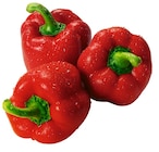 Rote Bio Paprika Angebote von REWE Bio bei REWE Köln für 3,33 €