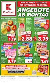 Kaufland Frankenthal Prospekt der aktuellen Woche, gültig von 23.03.2026 bis 25.03.2026 Aktueller Kaufland Frankenthal Prospekt "KNÜLLER" mit 80 Seiten