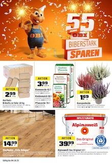 OBI Schwarzenbruck Prospekt "BIBERSTARK SPAREN!" mit 20 Seiten