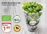 Aktuelle Kräuter Angebote bei GLOBUS in Duisburg Aktuelles Basilikum Topf Angebot bei GLOBUS in Duisburg ab 1,49 €