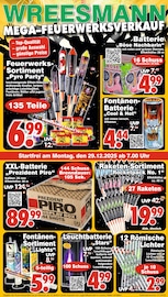 Aktueller Wreesmann Prospekt mit Feuerwerk, "DEIN SAISON- & SONDERPOSTENMARKT!", Seite 1